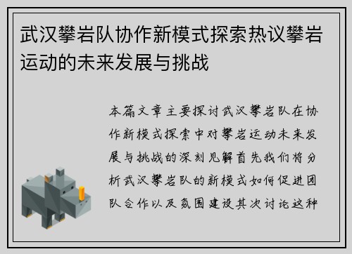 武汉攀岩队协作新模式探索热议攀岩运动的未来发展与挑战